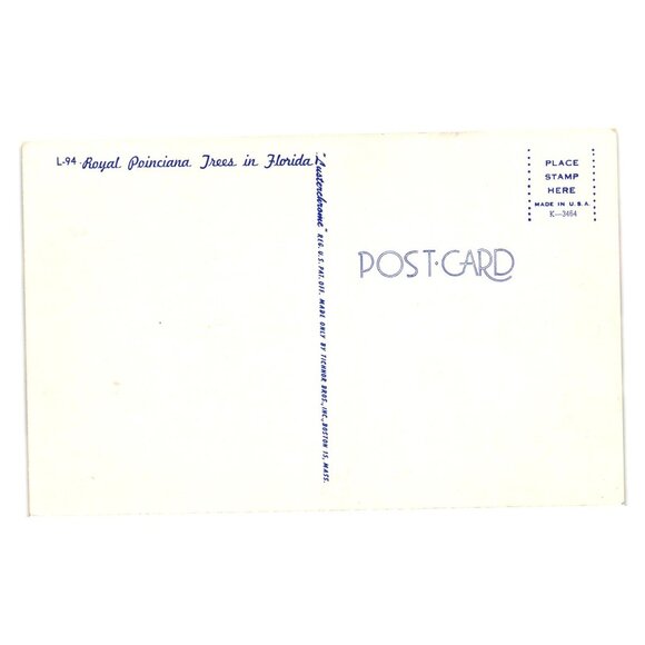 Royal Poinciana Trees Vintage Postcard Made In USA Tichnor Bros K3464 Florida - Picture 2 of 2